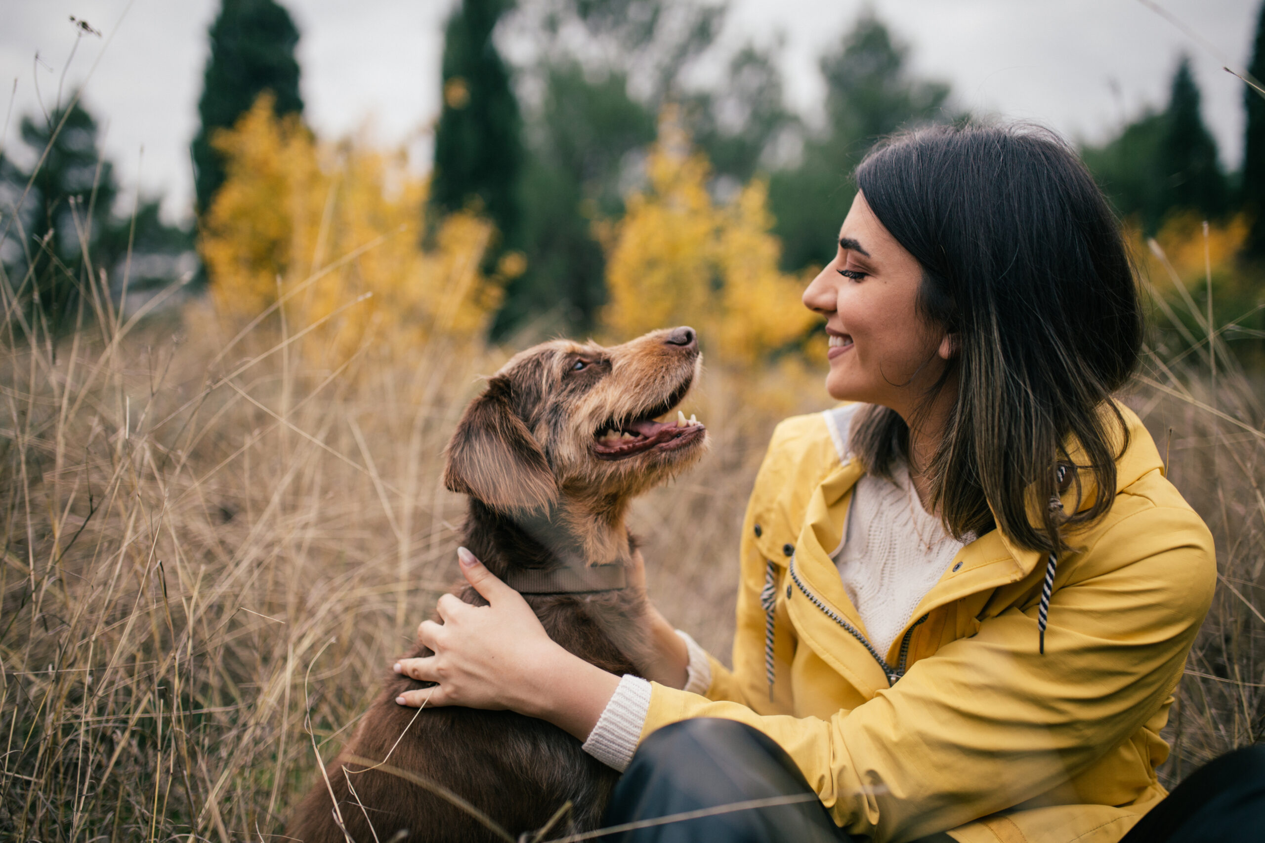 Home - Granite Mountain Vet