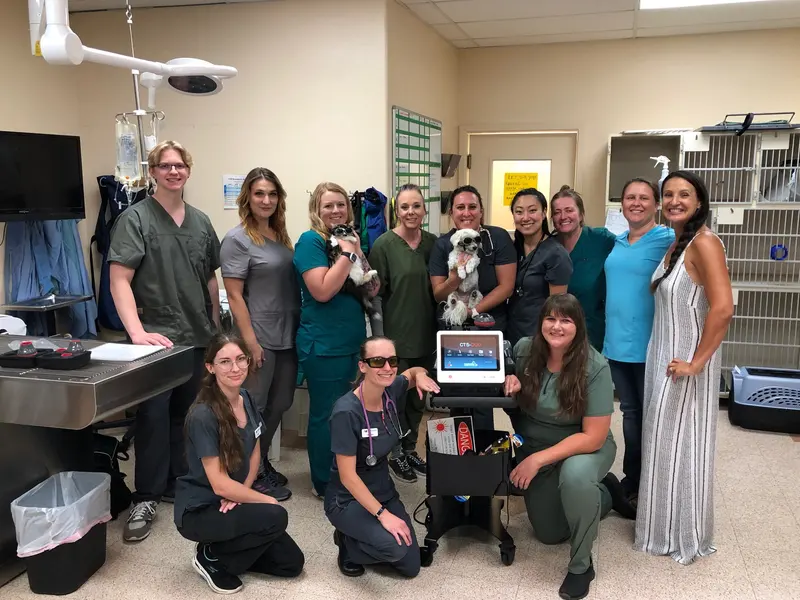 A patient receiving laser therapy with the team.