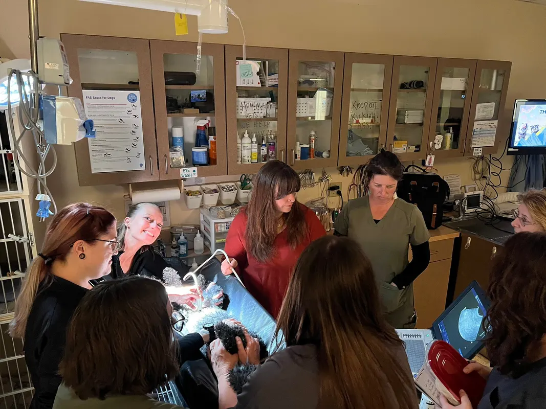 The team gathered around the treatment table during a busy day.