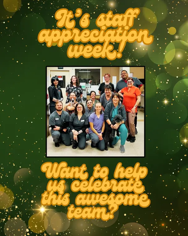 It’s that time of year again! In honor of National Veterinary Technician week, we celebrate our entire team...